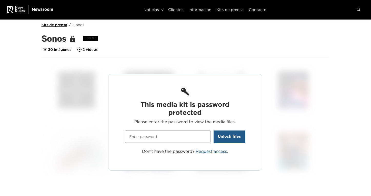 Screenshot of New Rules newsroom showing a password protected media kit